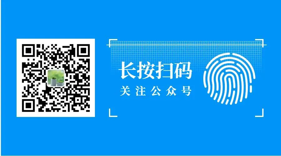 篮球周期训练计划怎么写的_2